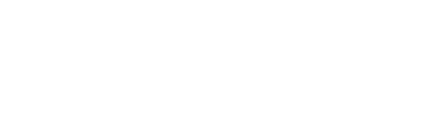 Lincoln Management Services